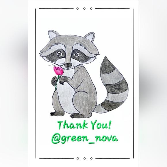 @green_nova Raccoon Business Thank You Cards 50pk - Picture 1 of 6